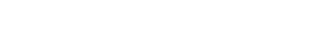 DOWN White Fleur de lis